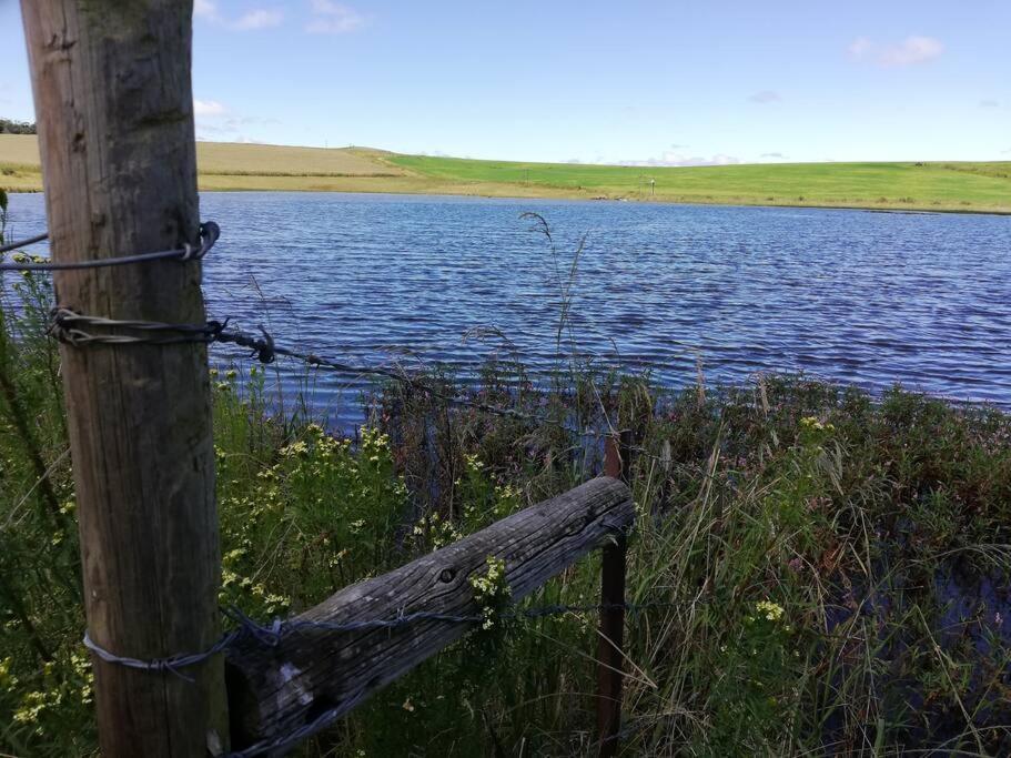 Sheeprun Farmstay Maclear Exteriör bild
