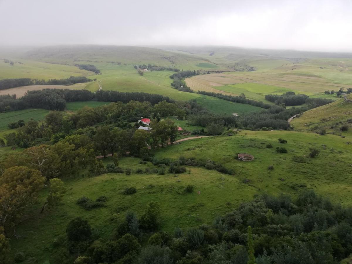 Sheeprun Farmstay Maclear Exteriör bild