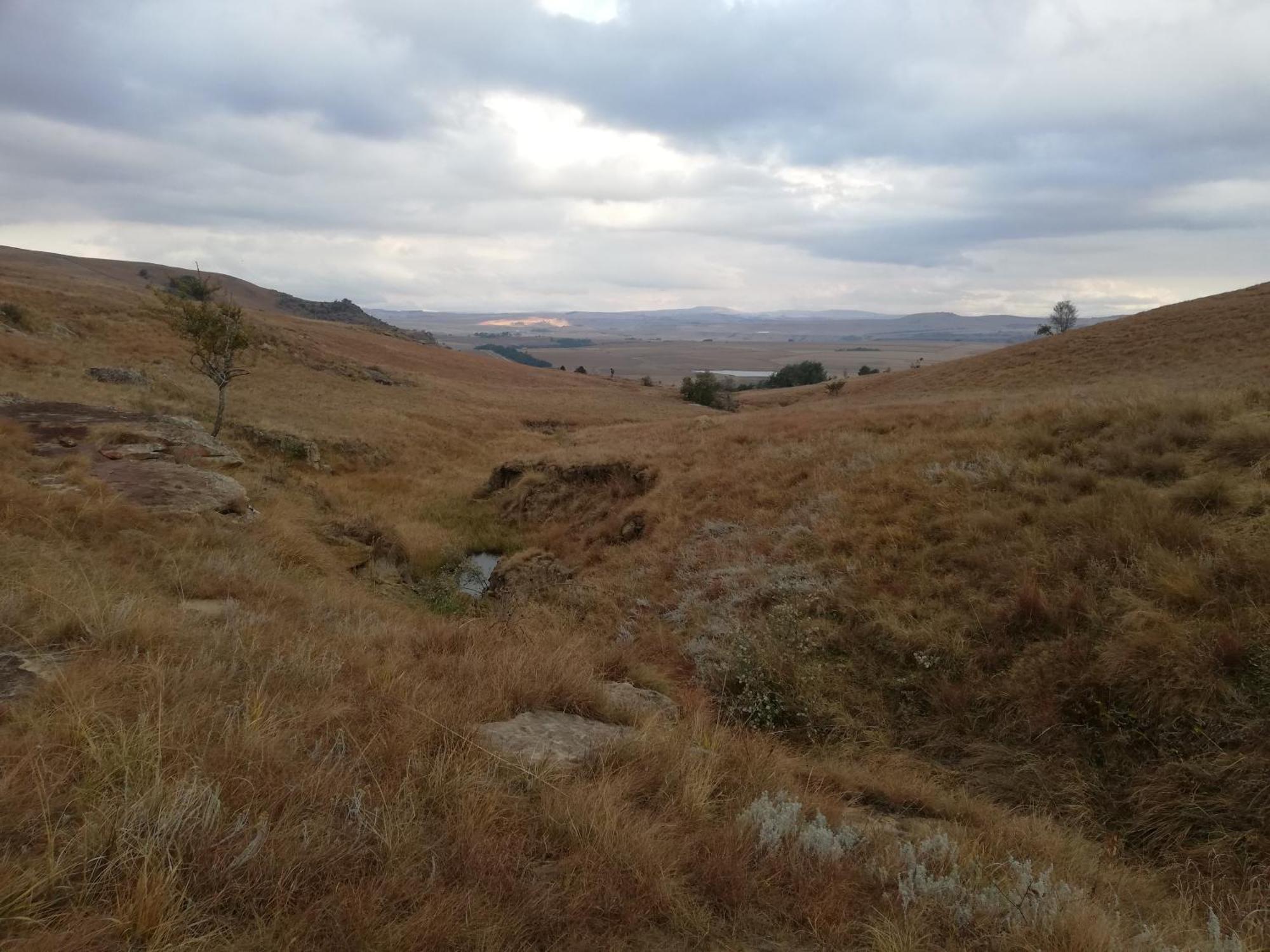 Sheeprun Farmstay Maclear Exteriör bild
