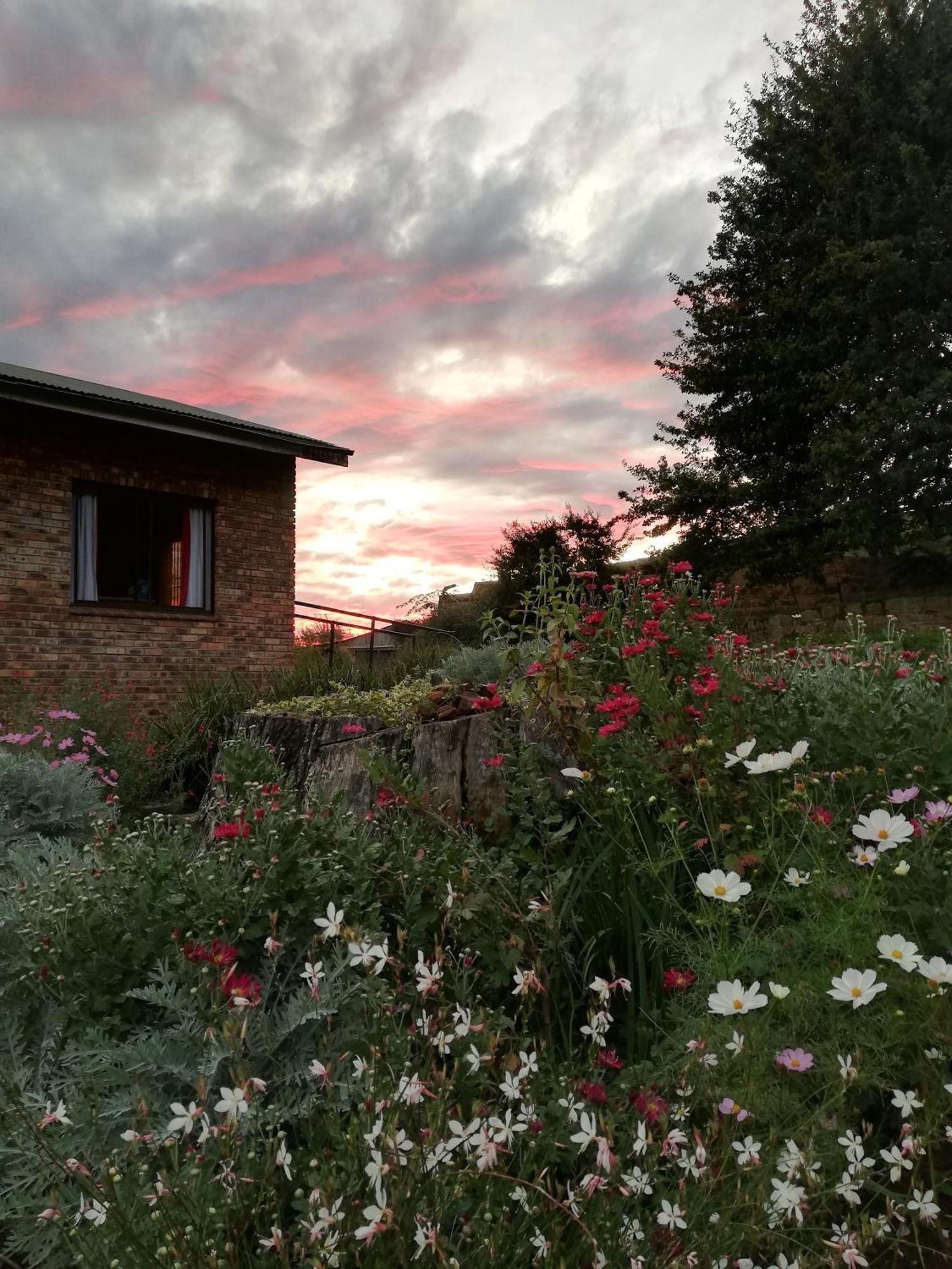 Sheeprun Farmstay Maclear Exteriör bild